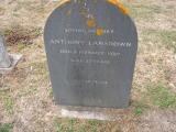 image of grave number 71407
